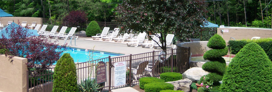 View of the Tall Pines Motel Pool Area