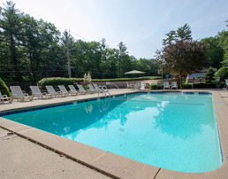 Tall Pines Swimming Pool